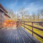 Ardennes Near With Terrace